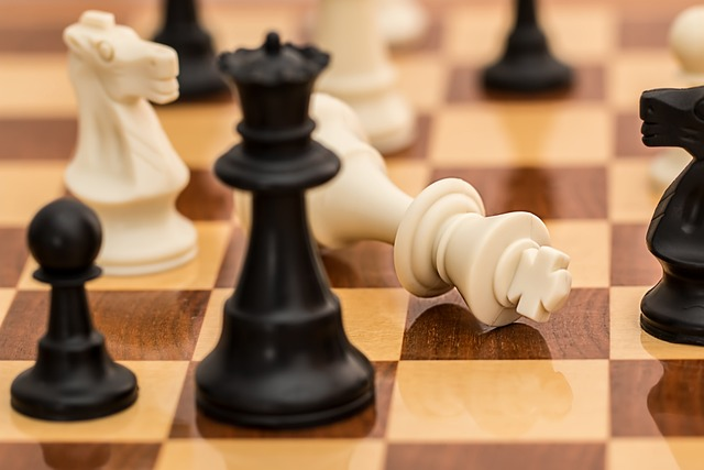 Lezioni e partite libere di scacchi